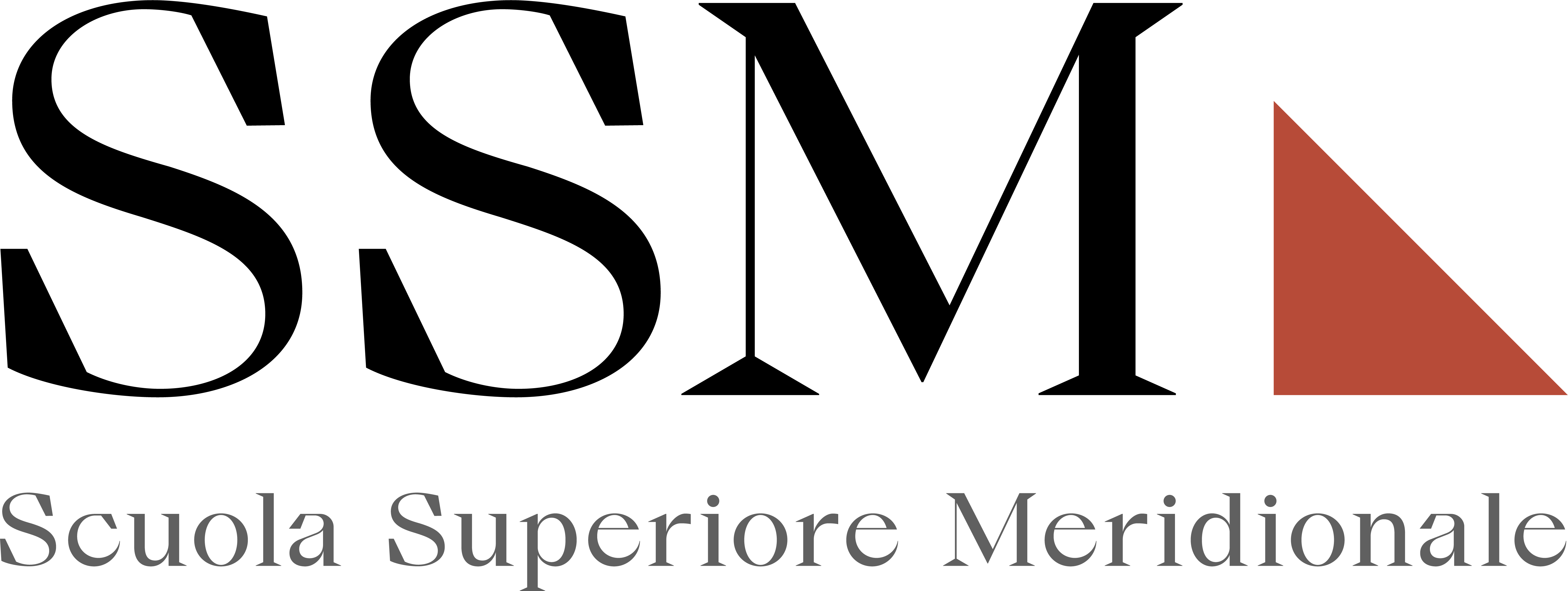 Scuola Superiore Meridionale di Napoli logo